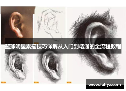 篮球明星素描技巧详解从入门到精通的全流程教程