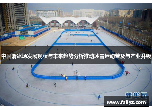 中国滑冰场发展现状与未来趋势分析推动冰雪运动普及与产业升级